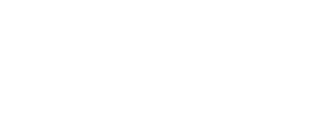 gt-exim-logo